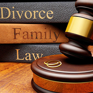 Matrimonial and other Family Disputes